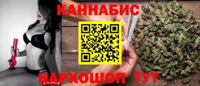 спиды Гай