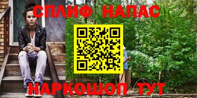 спиды Гай