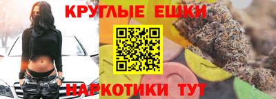 спиды Гай