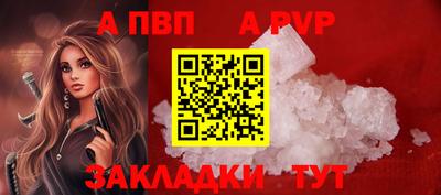 спиды Гай