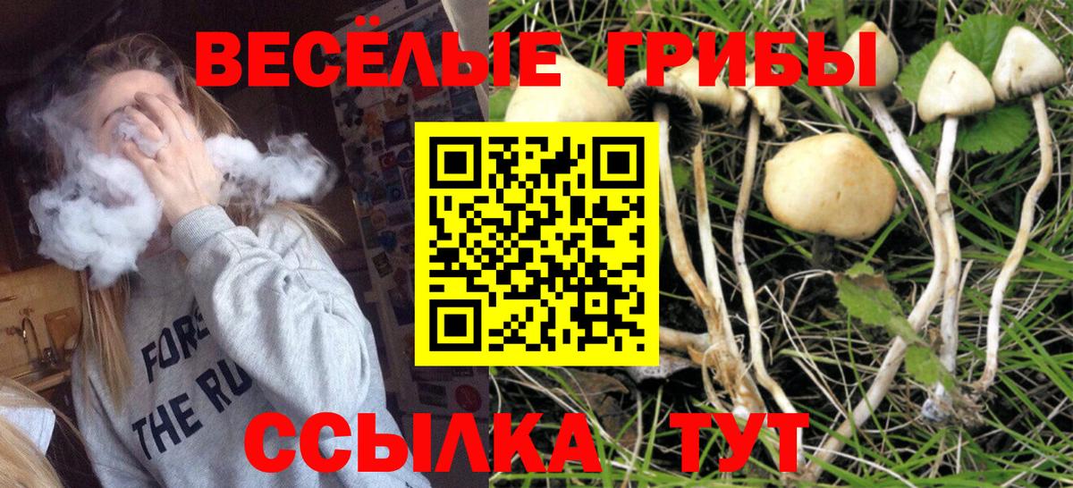 Мариинск  Галлюциногенные грибы Psilocybine cubensis  Вход с VPN  цена   Галлюциногенные грибы мухоморы 